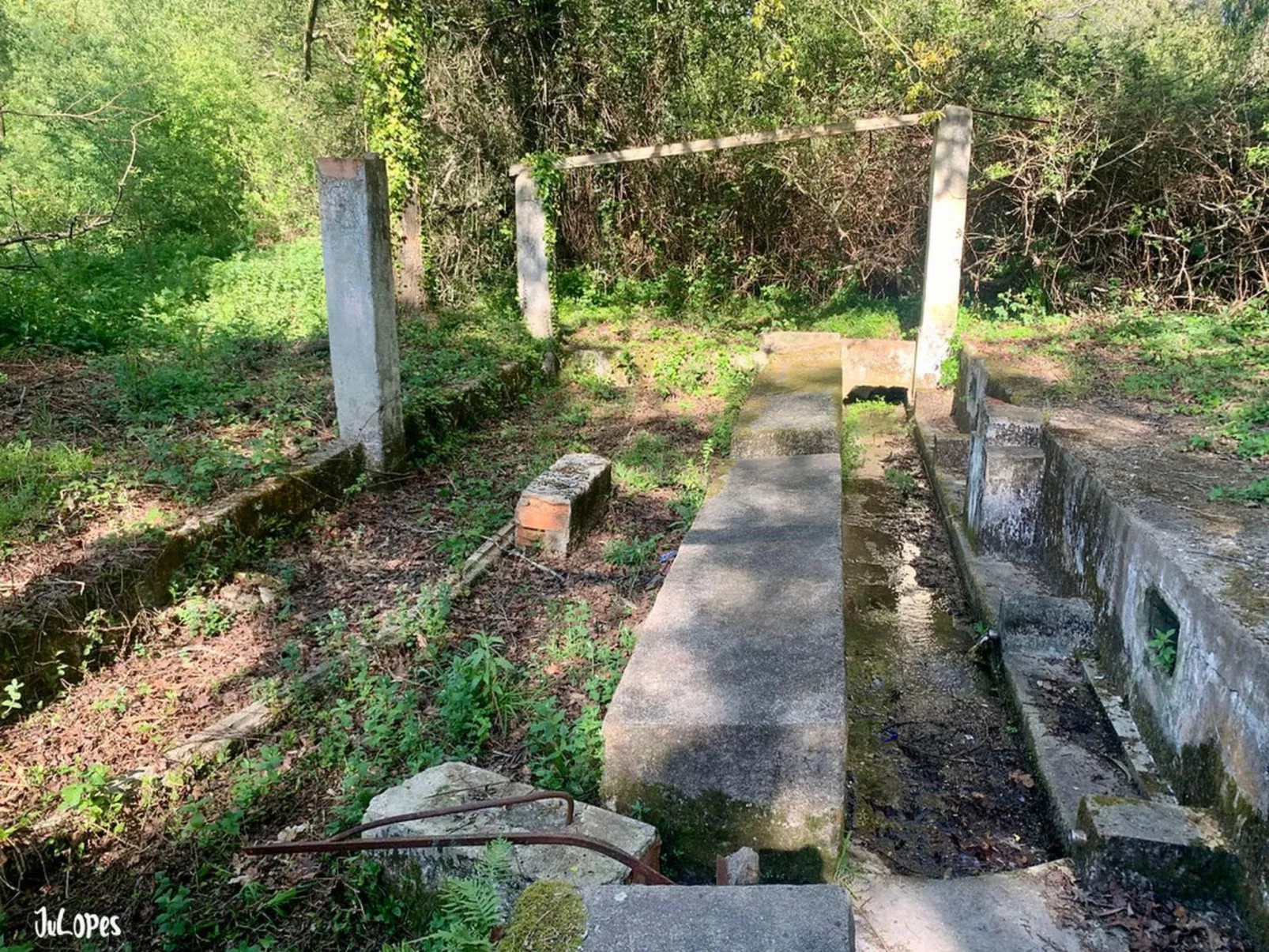 Das Haus Bairrada mit freier Garage-Draußen