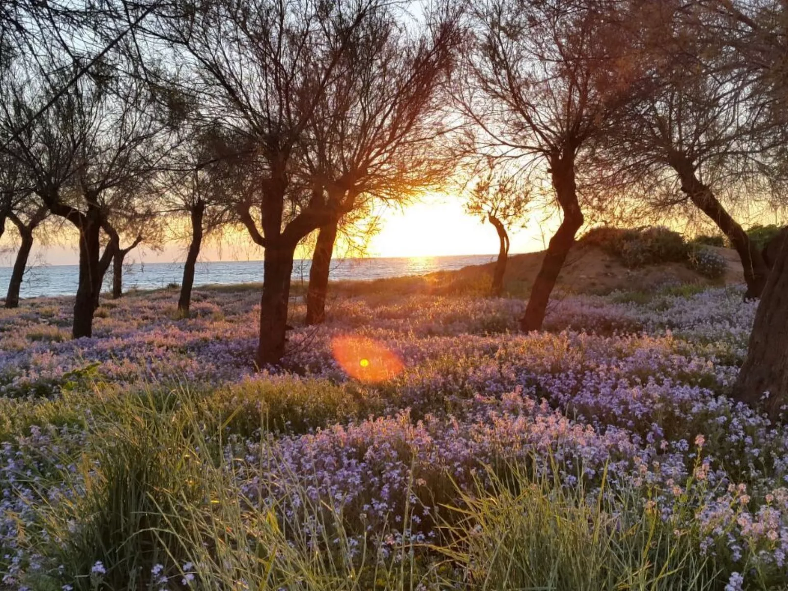 Elba Wohnung am Meer.-Dehors