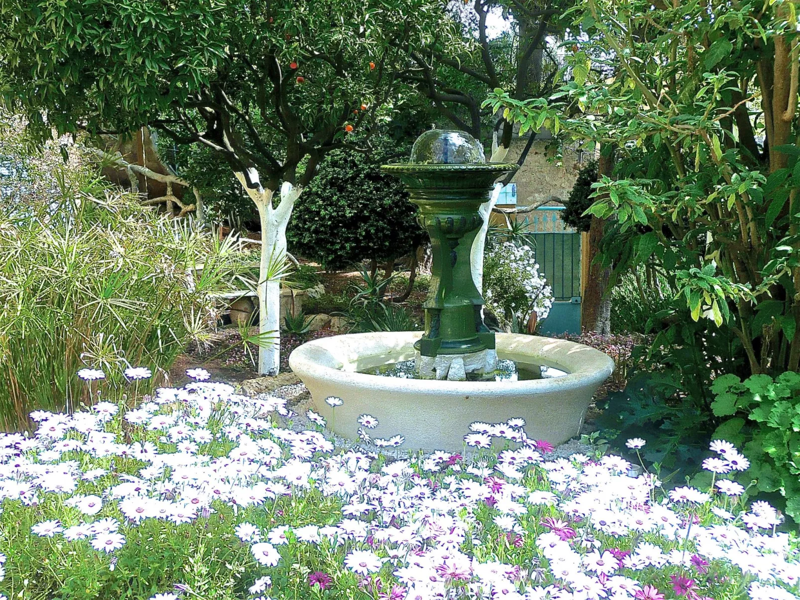 Ferienvilla "Villa Dracoena".-Dehors