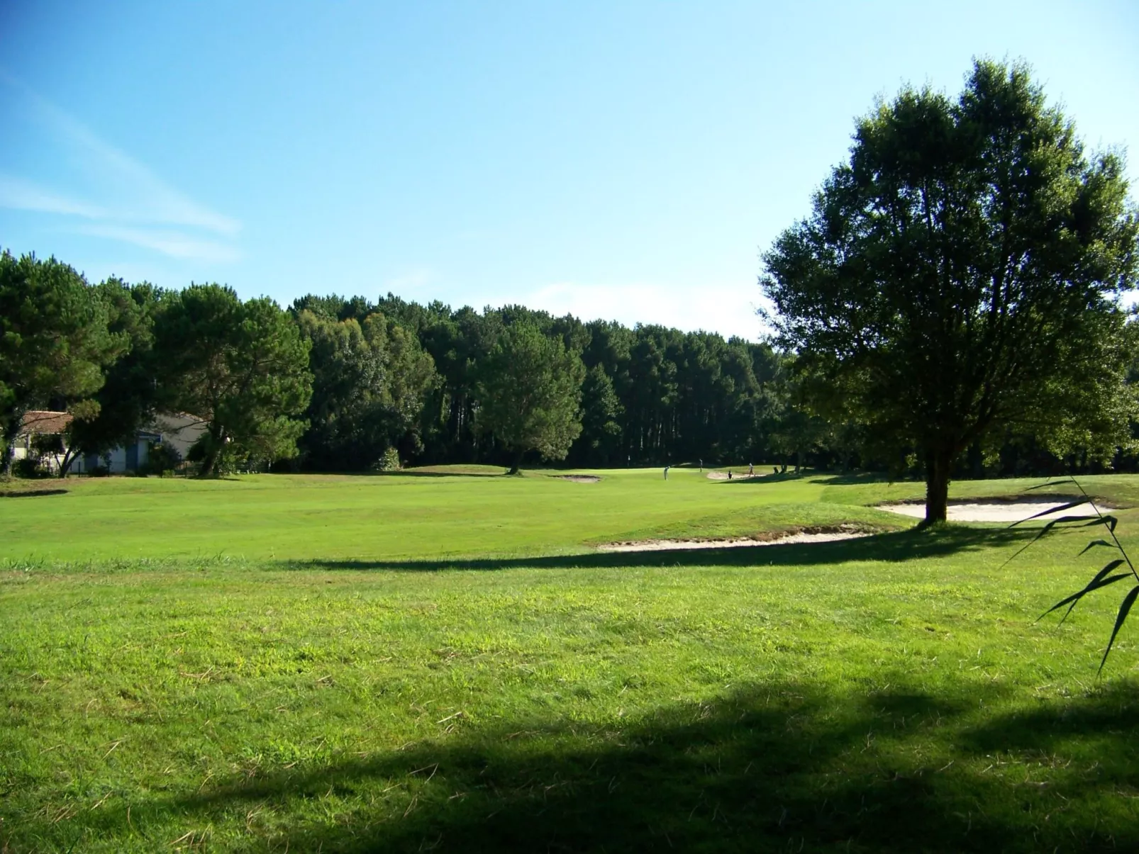 Hübsches kleines Haus in ruhiger Lage in einer baumbestandenen Residenz mit beh-Draußen