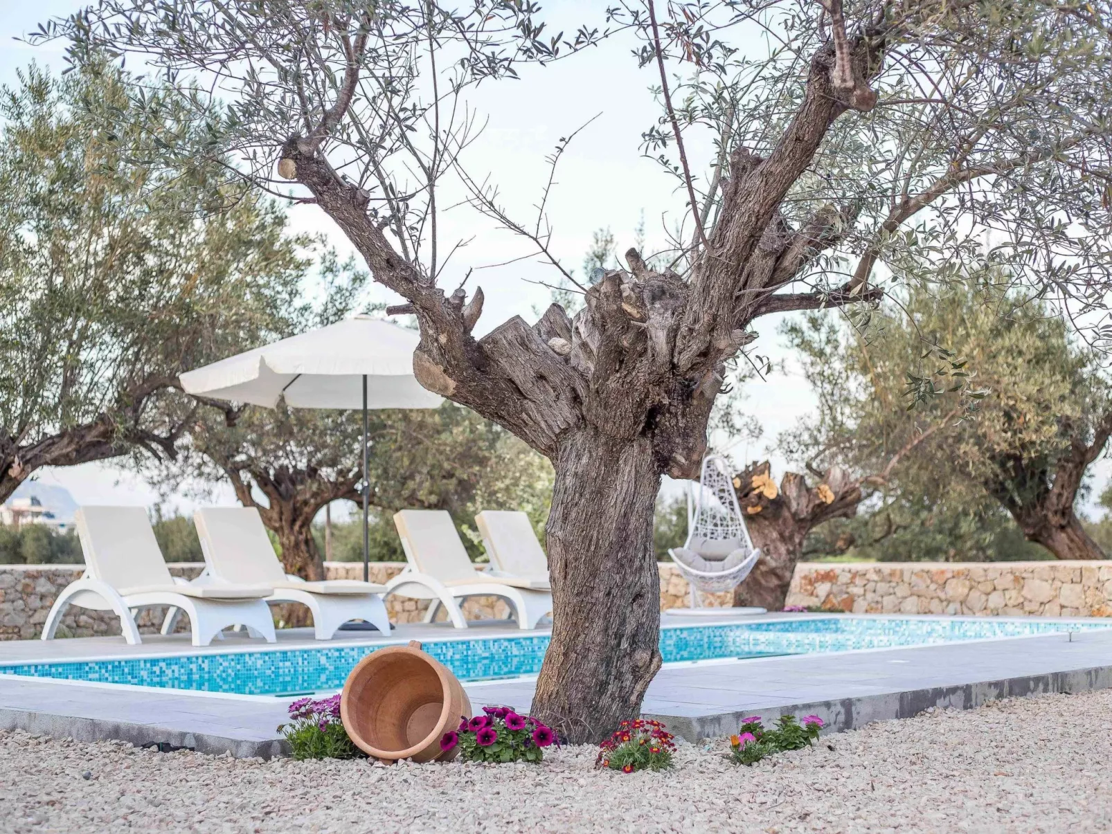 Kalathos Dream - Weißer Traum-Image-tags.info