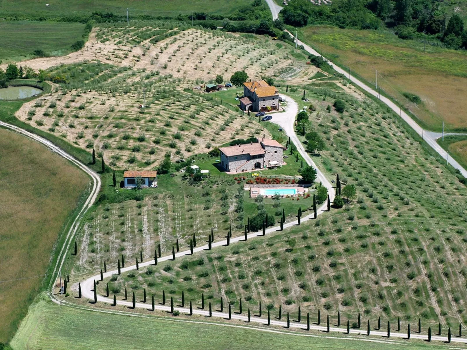 Alchenigi' Wohnung mit Schwimmbad-Outside