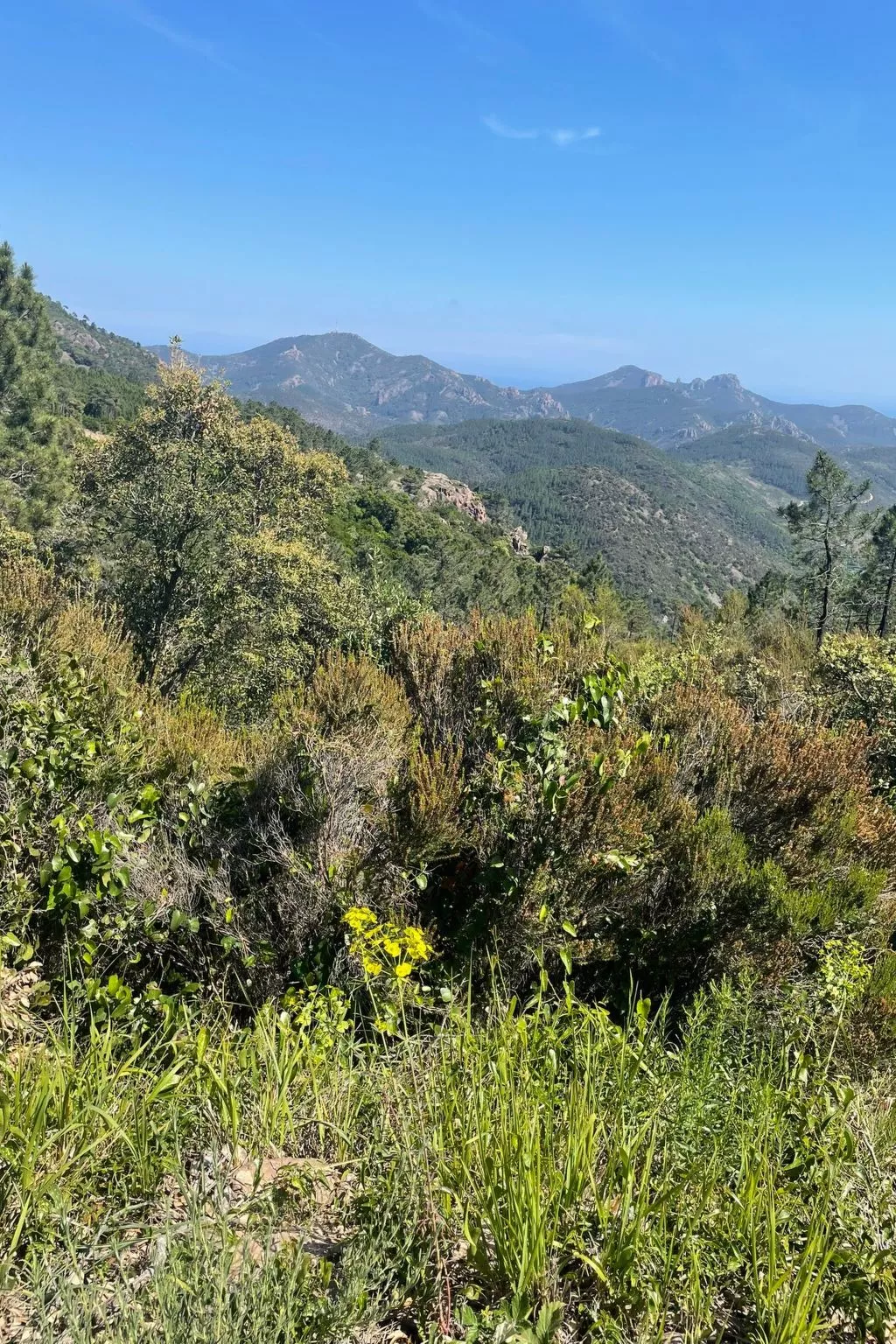 Grande Maisonette-Outside