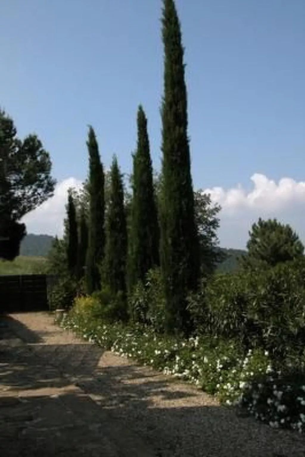 Podere Campolungo - Lo Studio-Outside