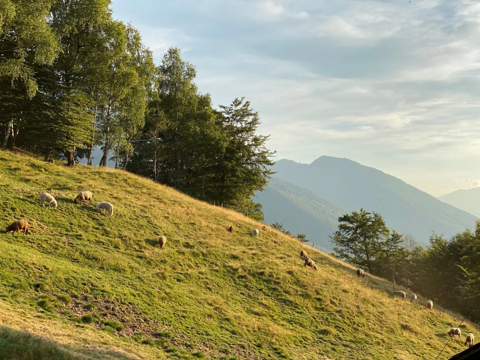 Typisches Tessiner Landleben im Centovalli-Dehors