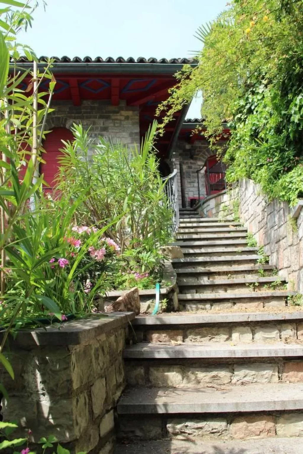 Olive-Image-tags.info