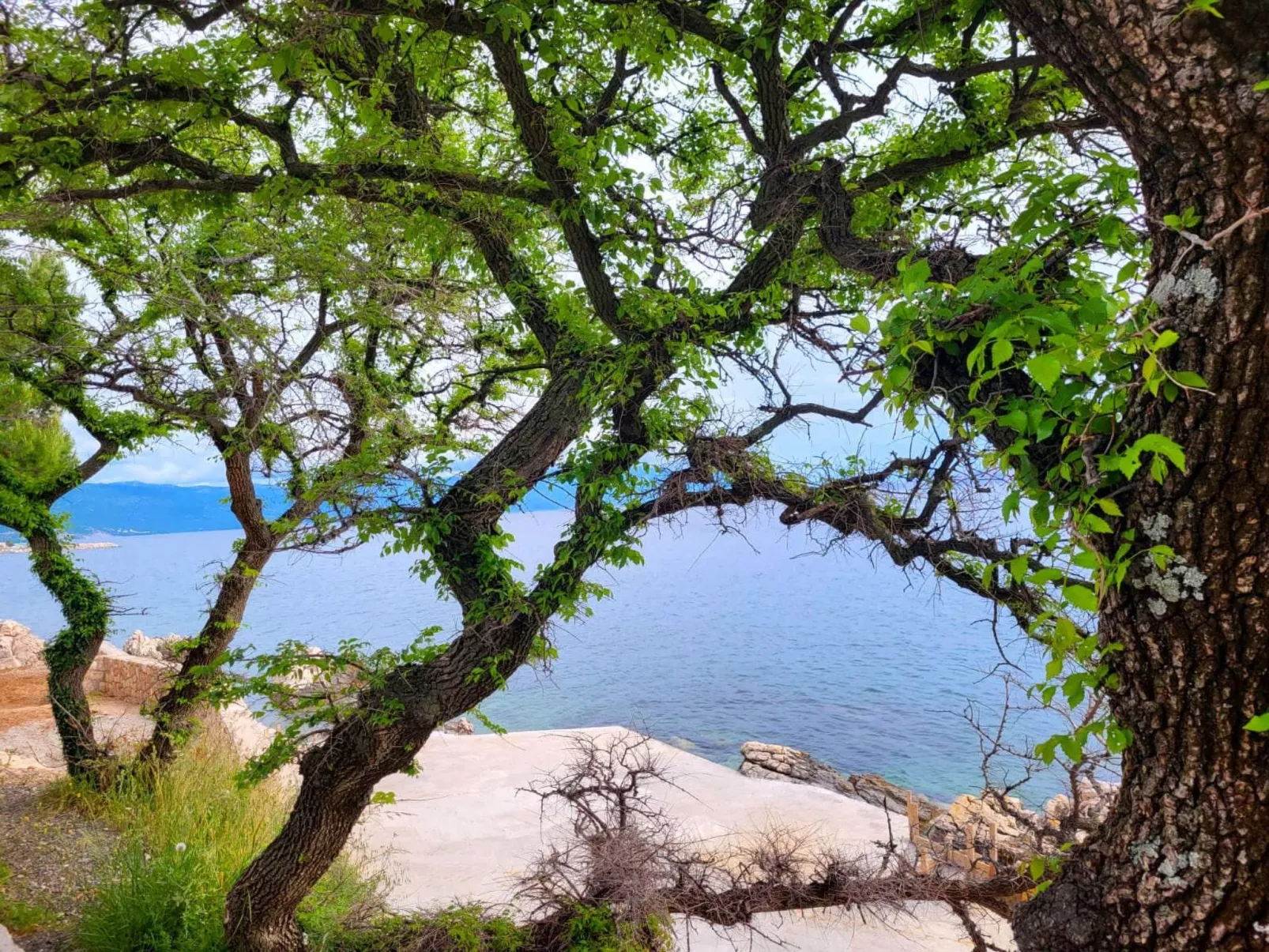 "Bribirska Obala" direkt am Strand-Draußen