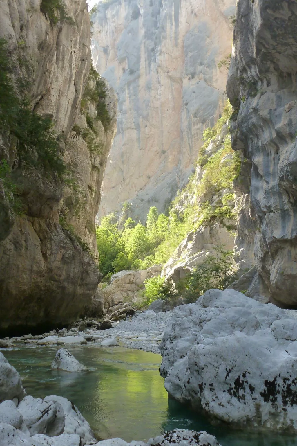 Les amandiers-Dehors