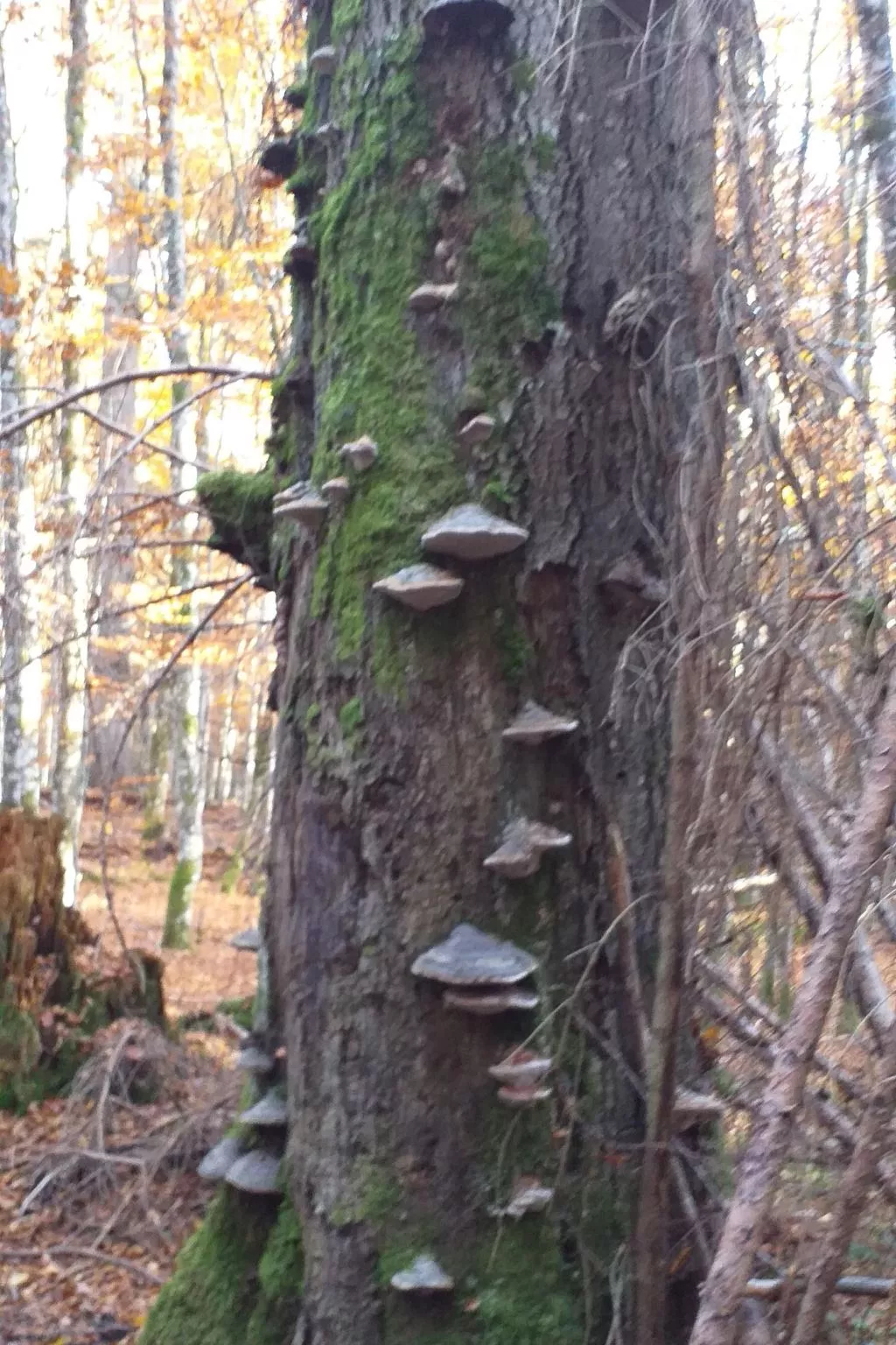 FeWo Steinbeisser-Outside