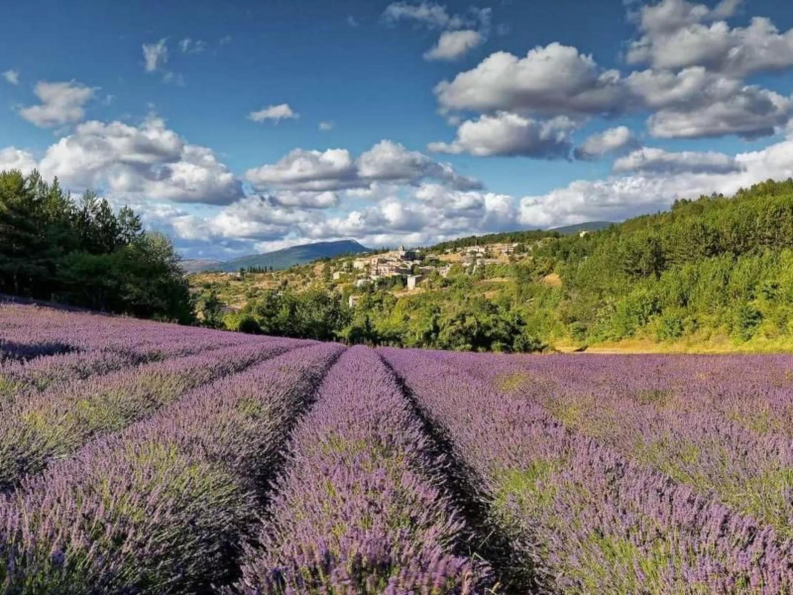 Villa Fleurie-Draußen