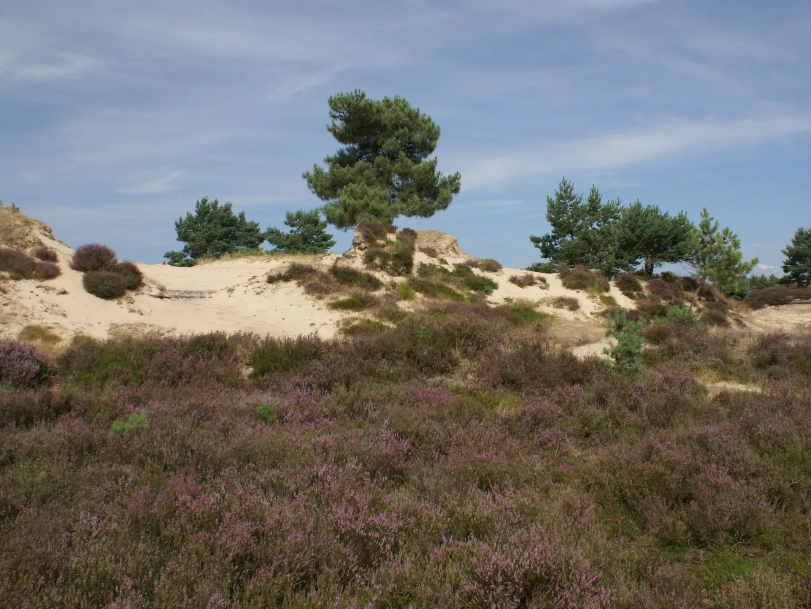 Geschmackvoll eingerichtetes Bauernhaus aus dem 19.-Dehors