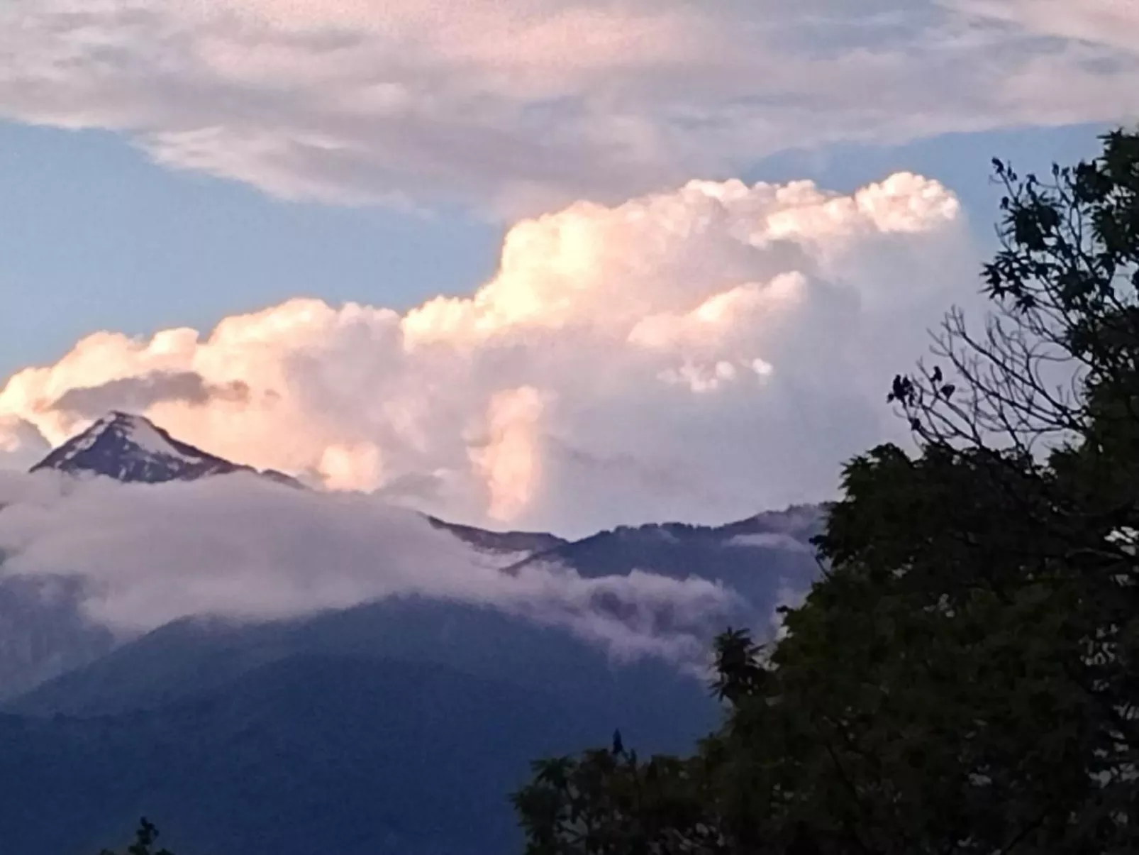 Residenza Viramonte - Casa Fiona, Wohnung 52 - Draußen