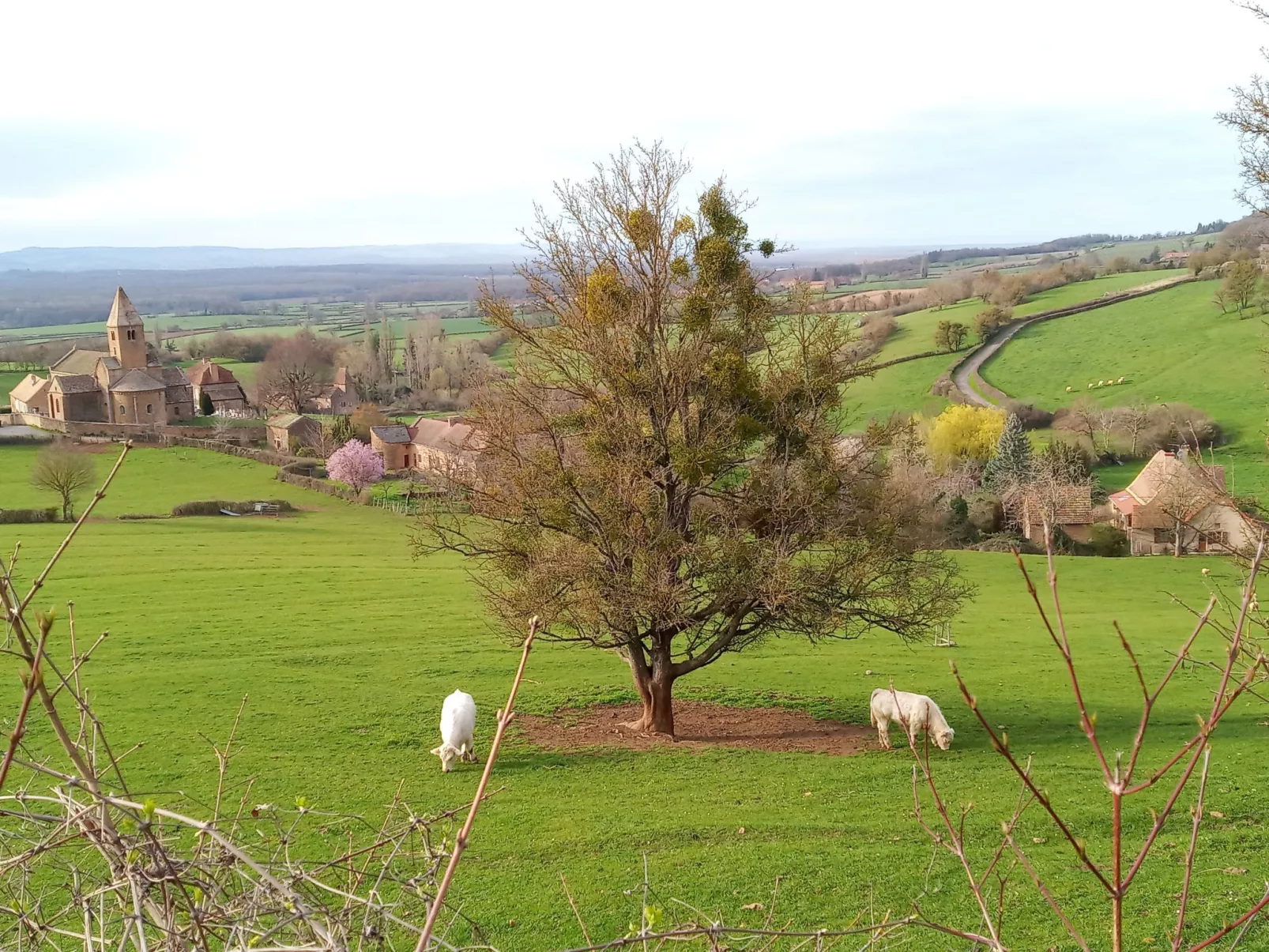 An der Weinstraße von Burgund-Draußen