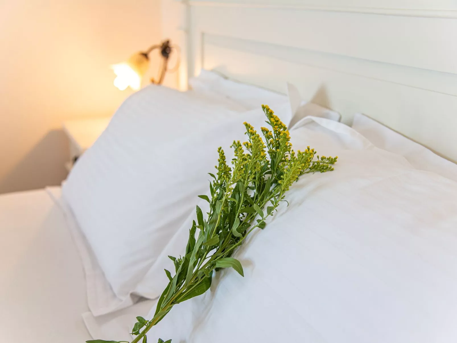 Villa Sotiris mit Pool und herrlichem Meerblick-Image-tags.info