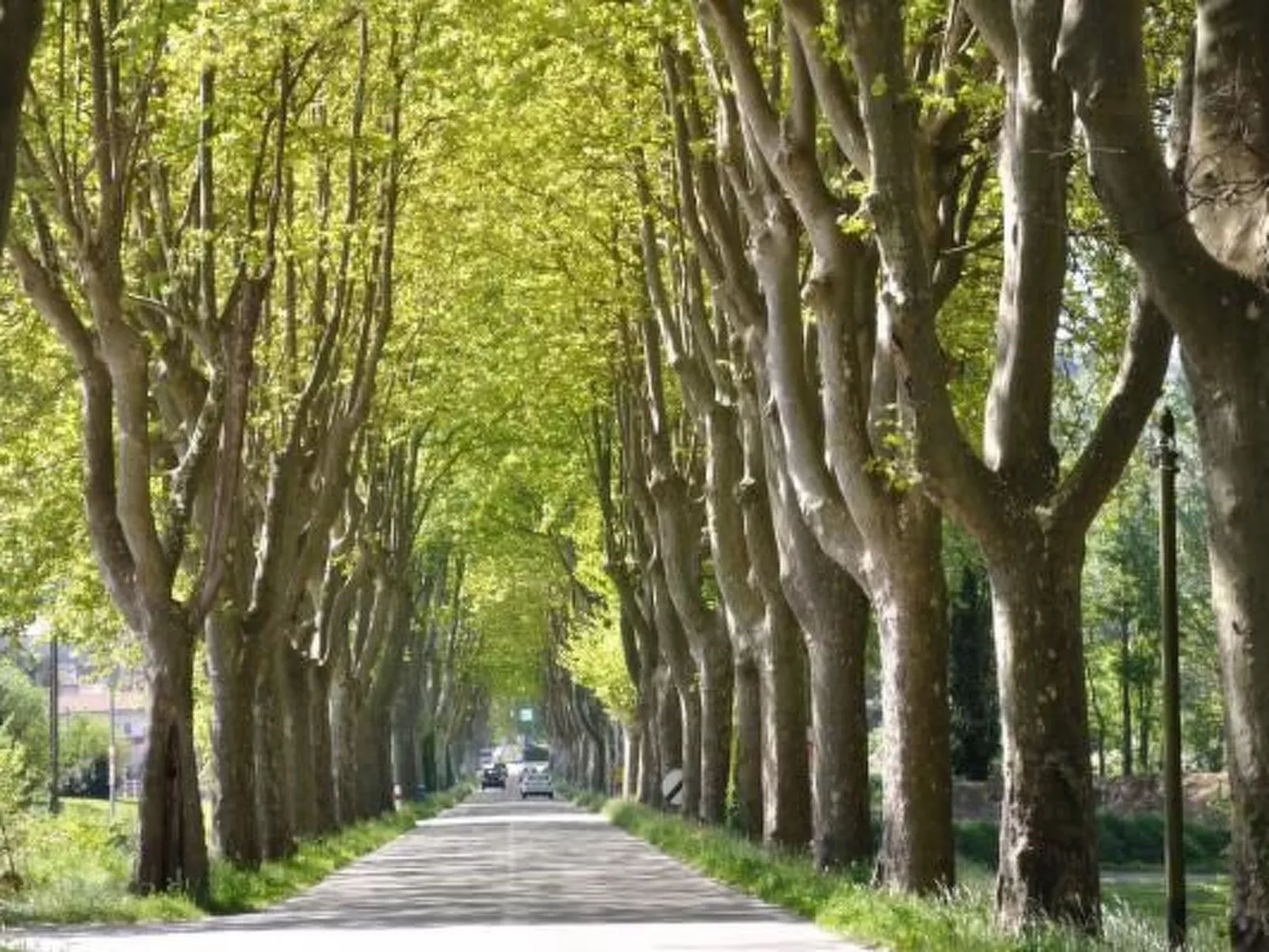 FERIENHAUS, FERIENHAUS "MAISON DE LAVANDE" (LAVENDELHAUS)-Dehors