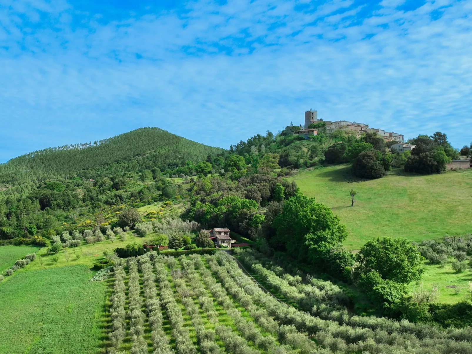 Anwesen "Toskanische Villa" mit privatem Pool-Draußen