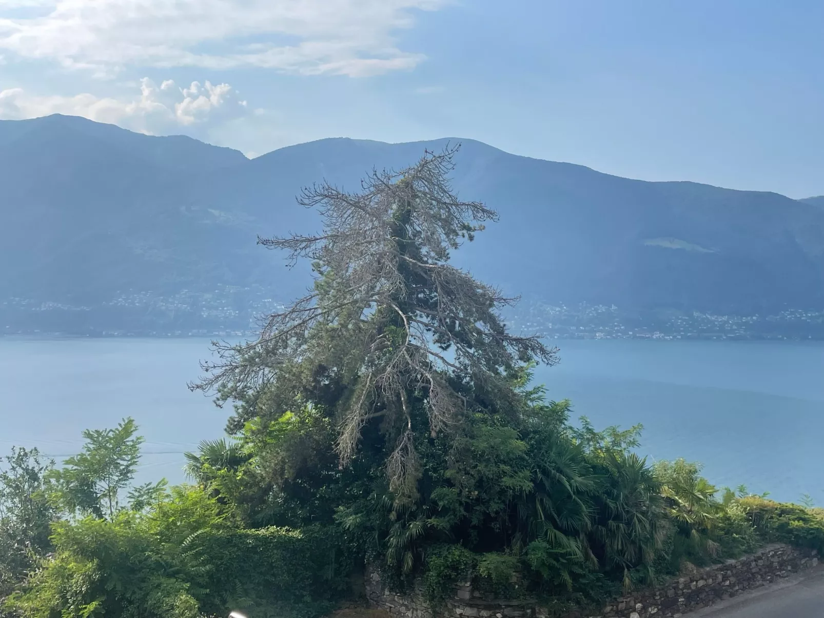 Casa Giovanna-Image-tags.info