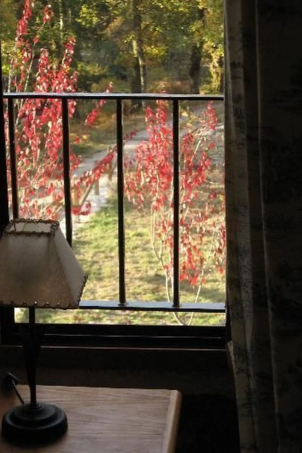 Finca "Casa do Portomartiño"-Image-tags.info