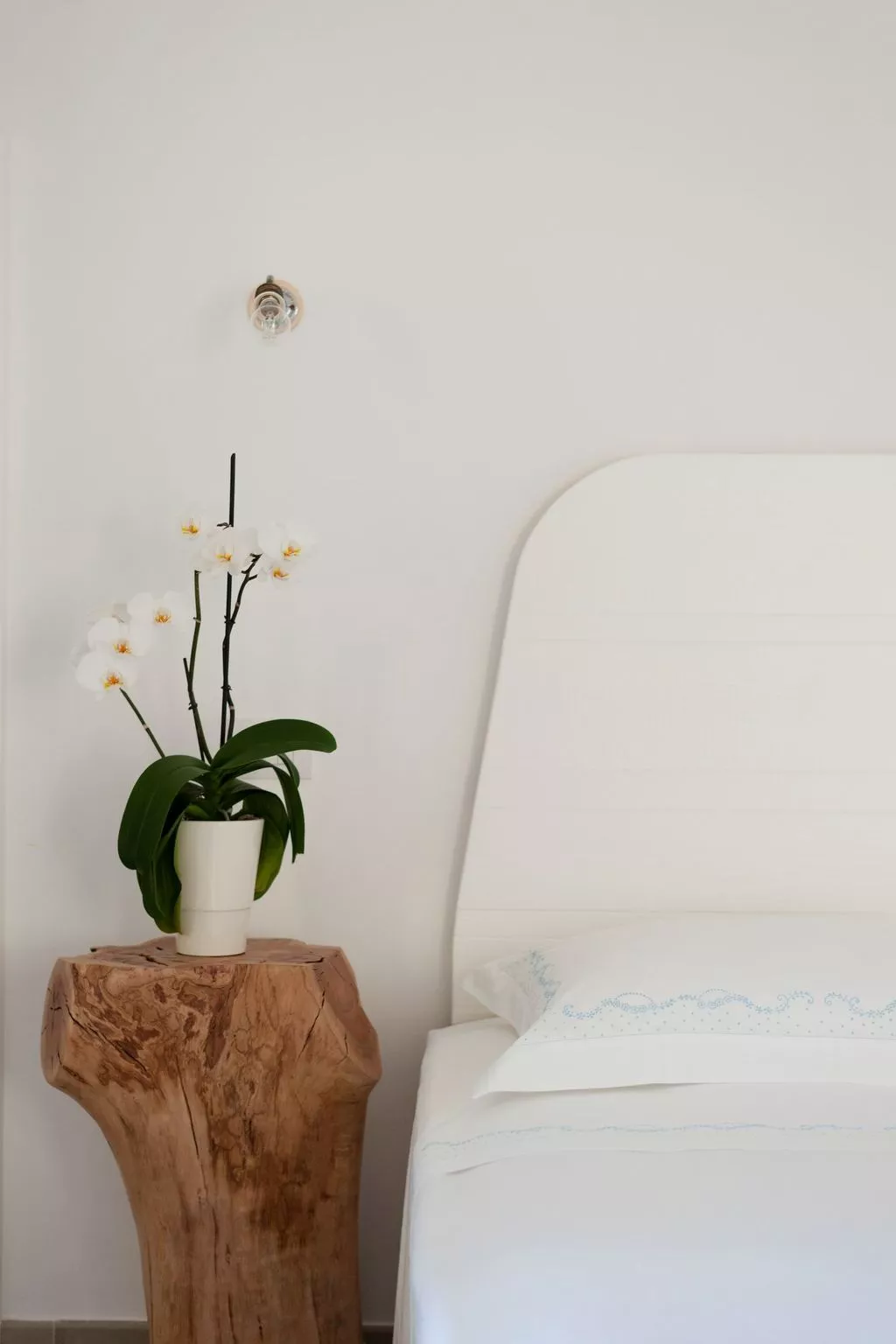 Wohnung 'Il Pergoletto' mit Terrasse-Dedans