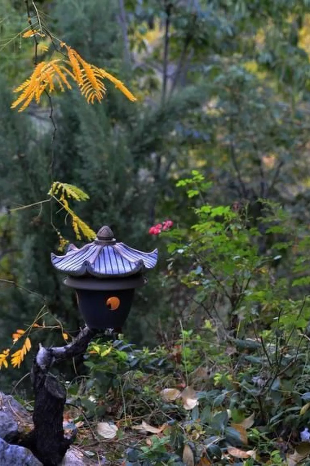 La Casita-Image-tags.info