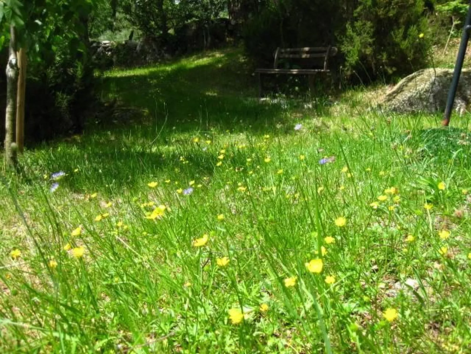 Apartamento 'A Solaina' mit Terrasse-Outside