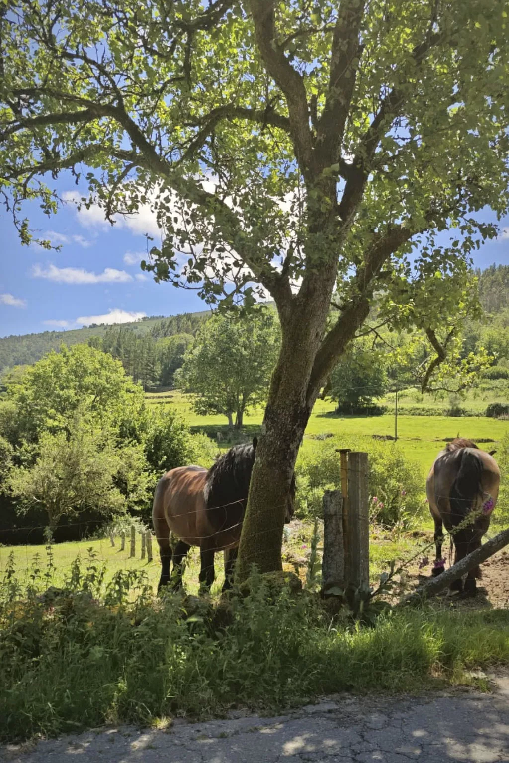 "Galicia Retreat-Dehors