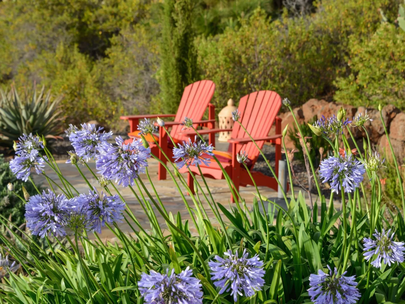 Villa Infinite Place-Outside