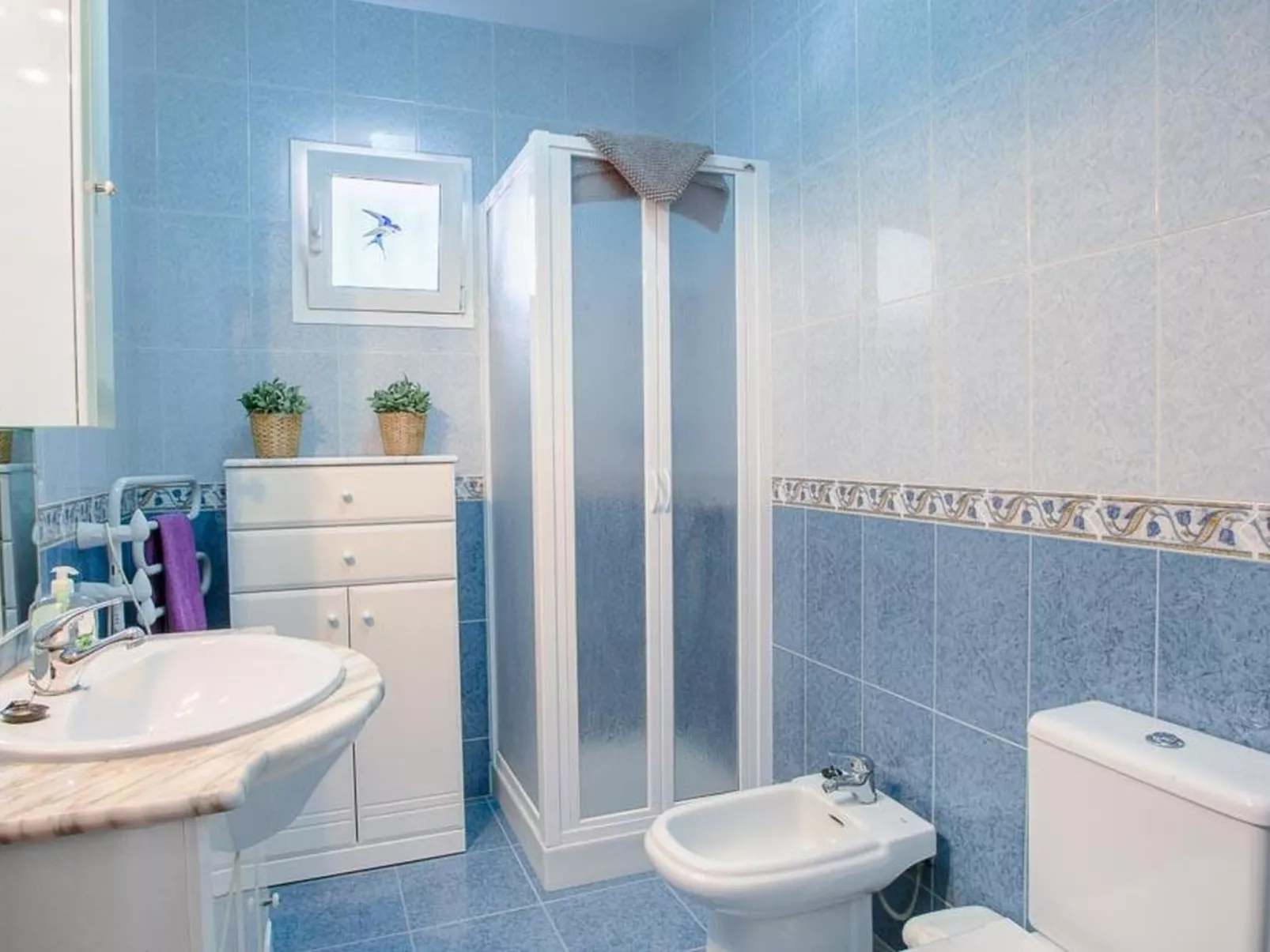 Villa Violeta-Image-tags.info