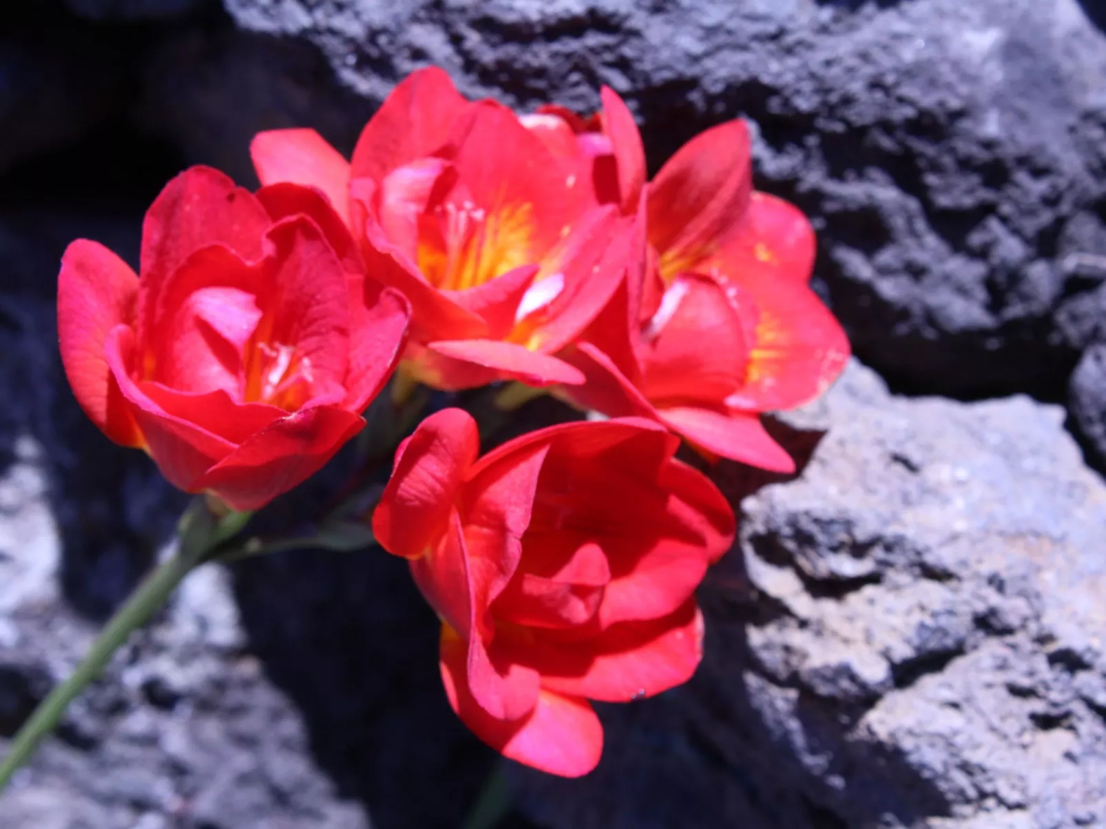 In Monte Breñas mit Grill, Terrasse und Garten-Outside