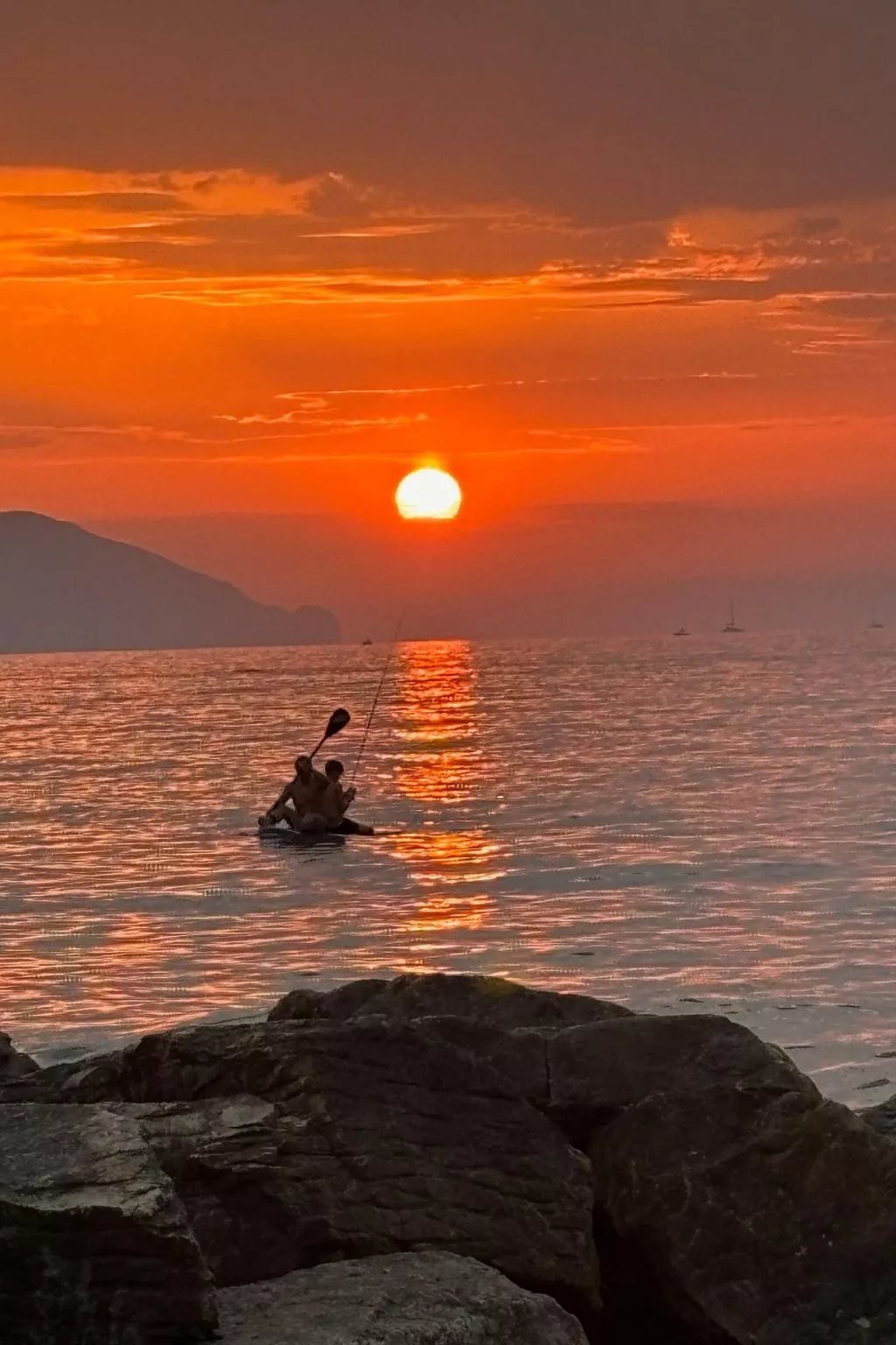 Seestern-Image-tags.info