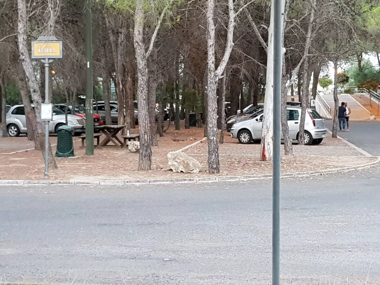 'Zeus-Image-tags.info