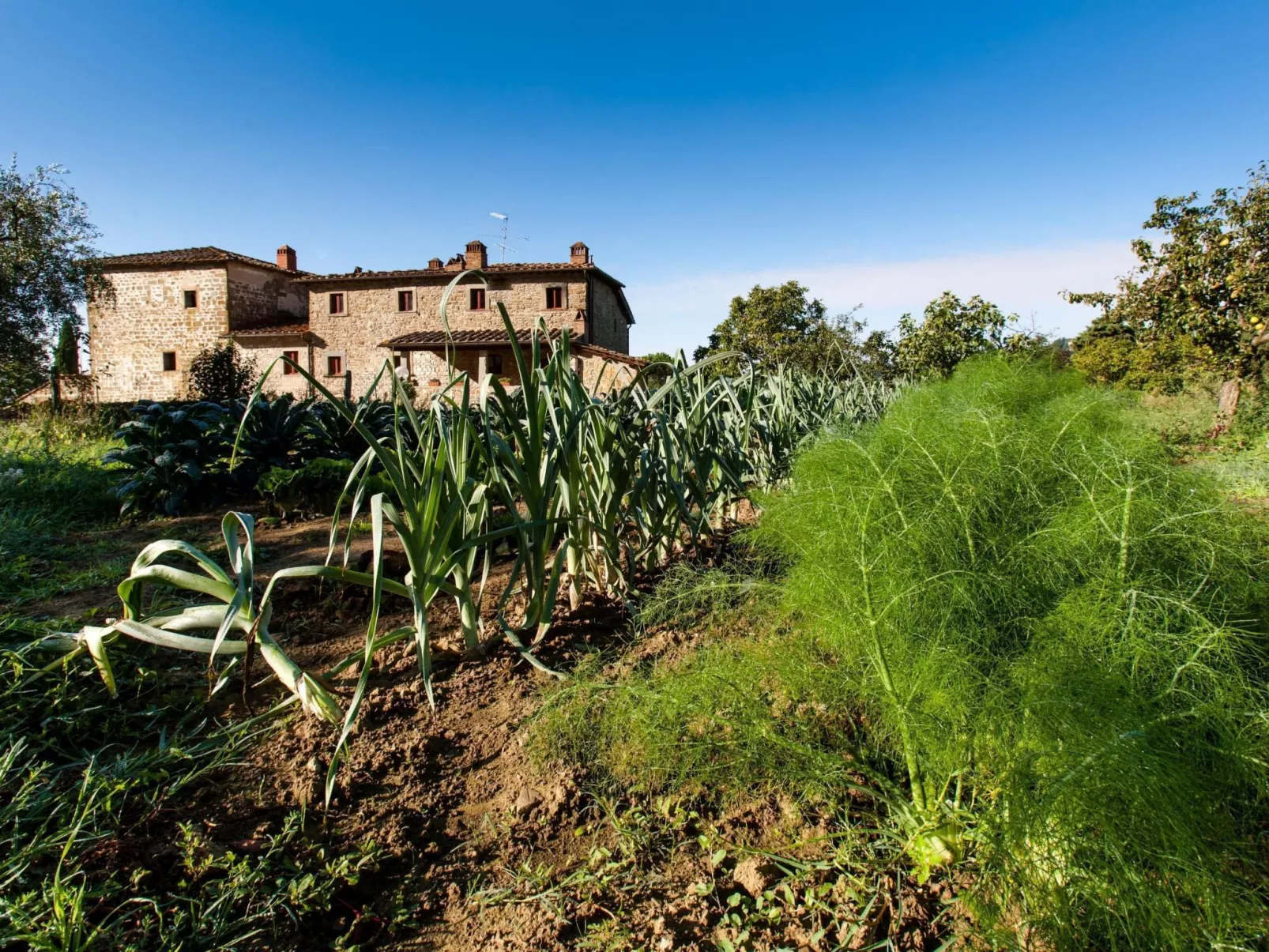 Wohnung Le Botti-Outside