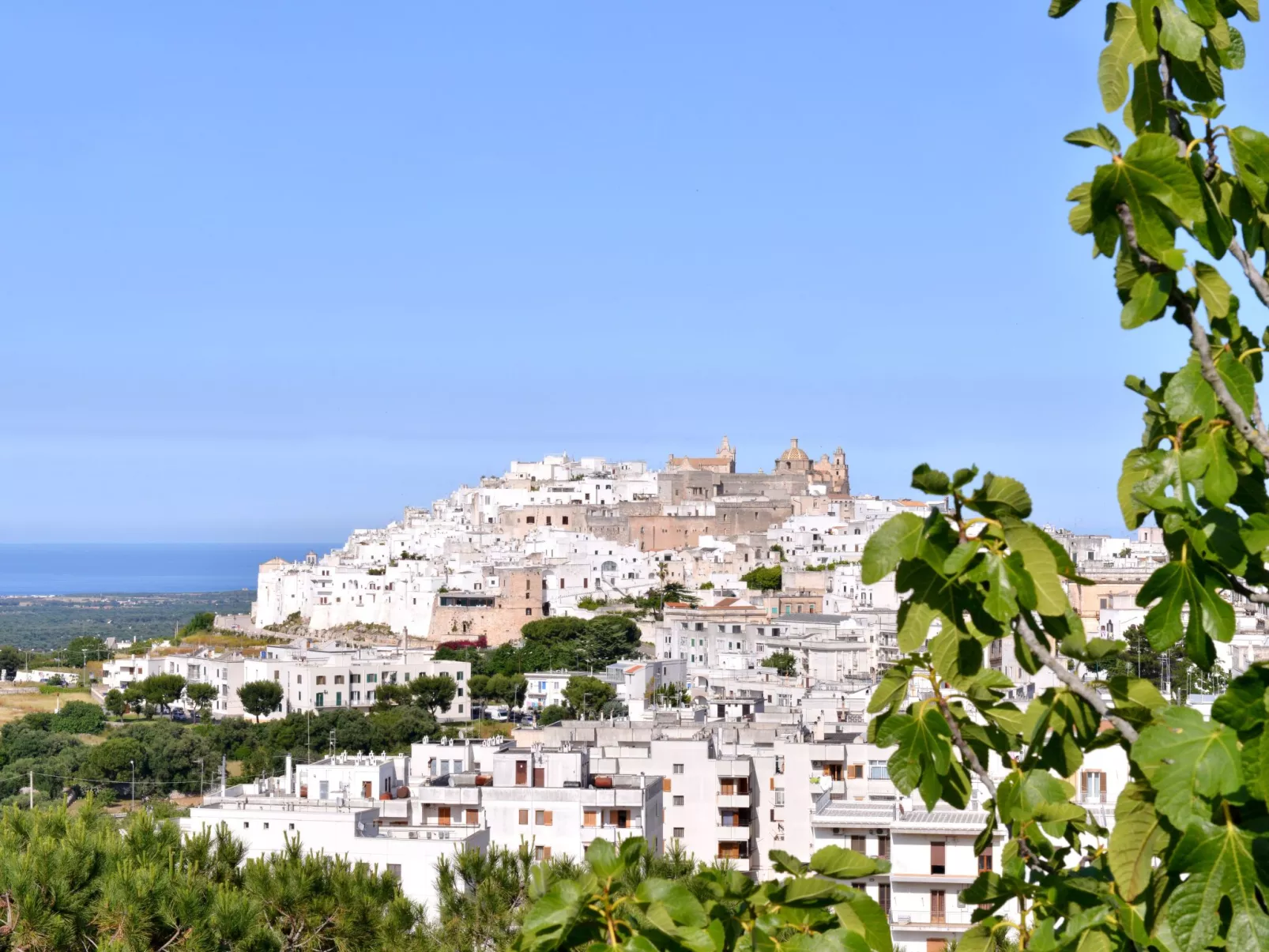 Villa Minerva mit Panoramapool-Image-tags.info