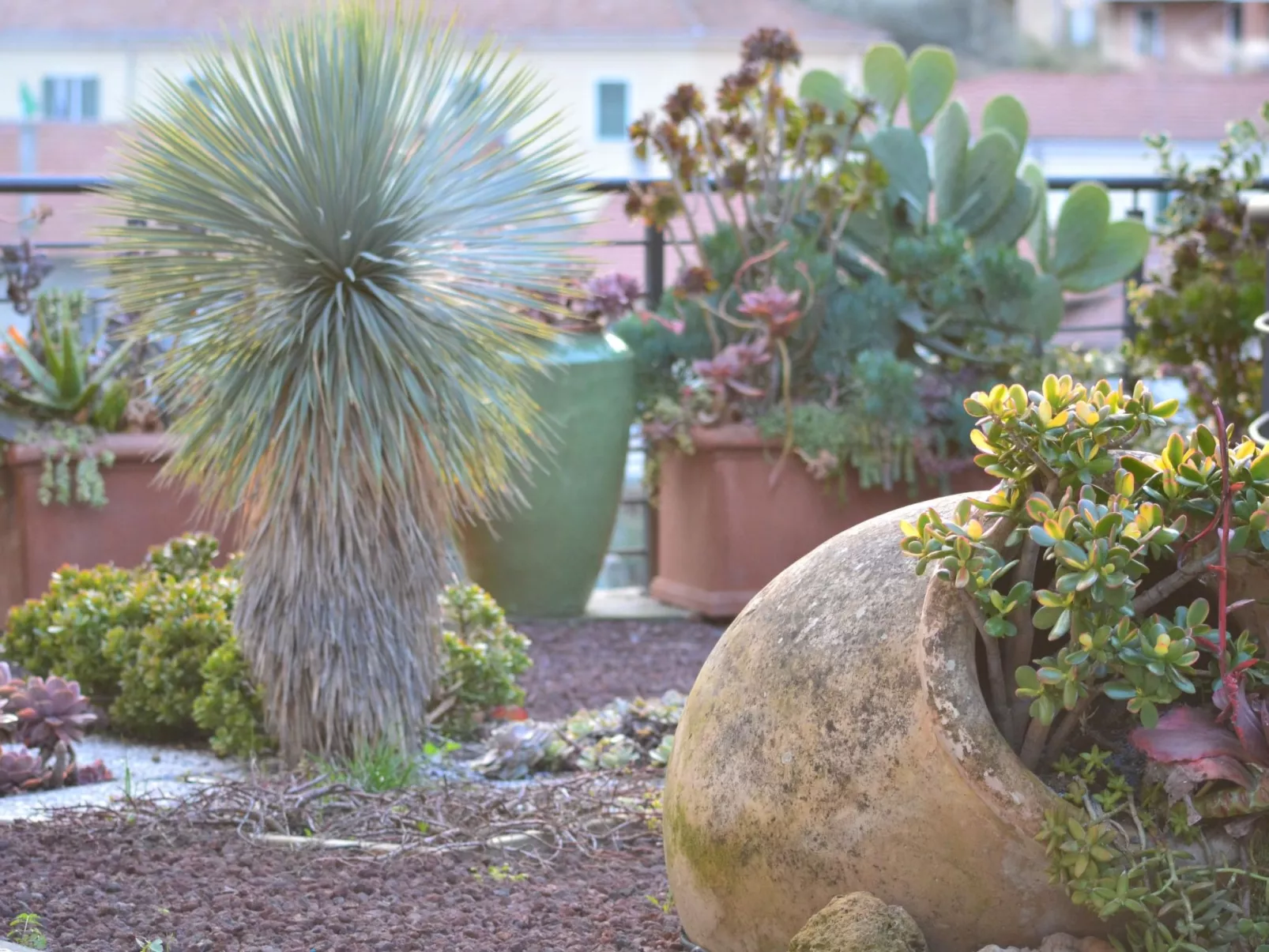 In Diano San Pietro-Dehors