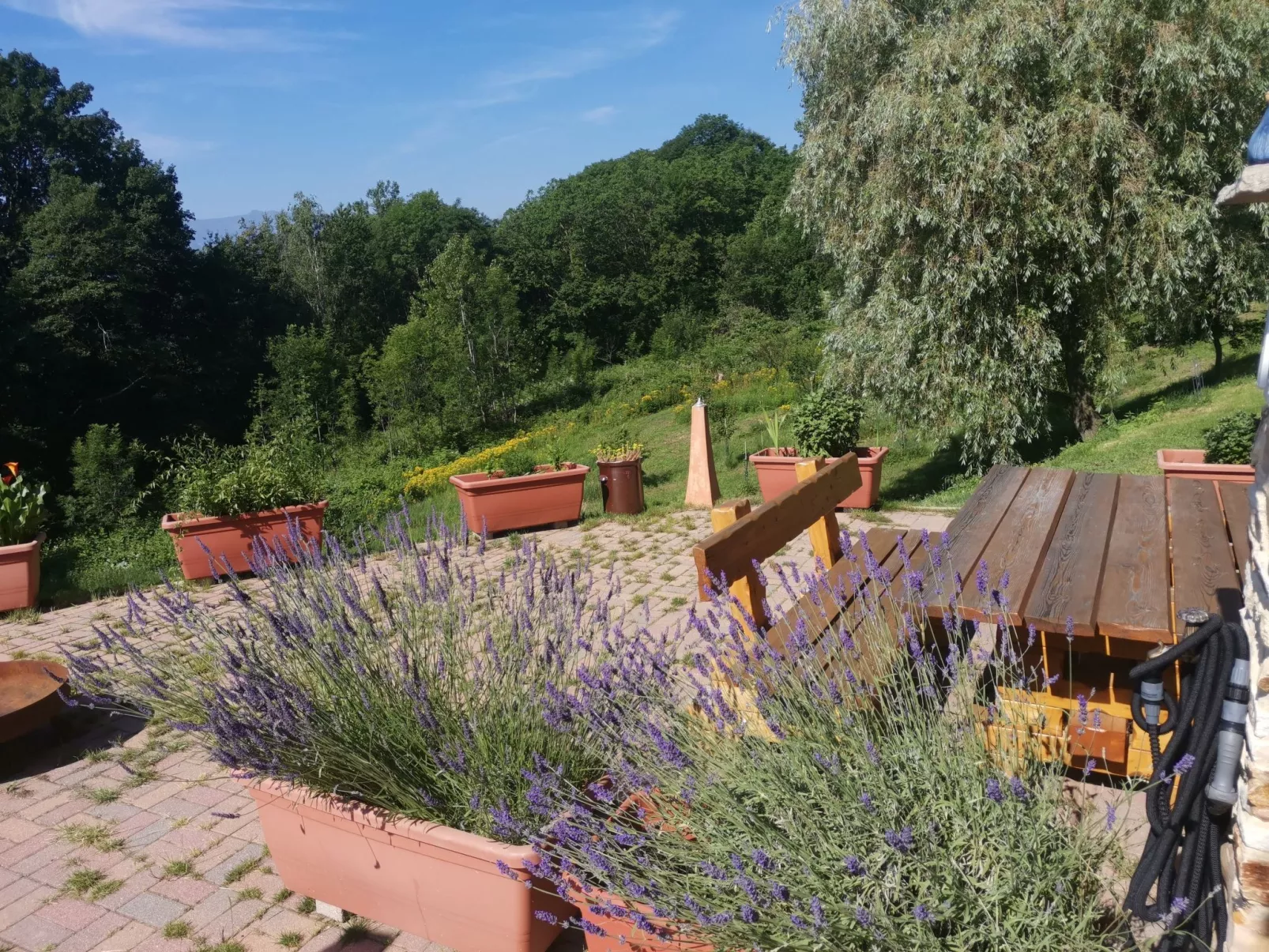 Casa Bella Vista-Dehors