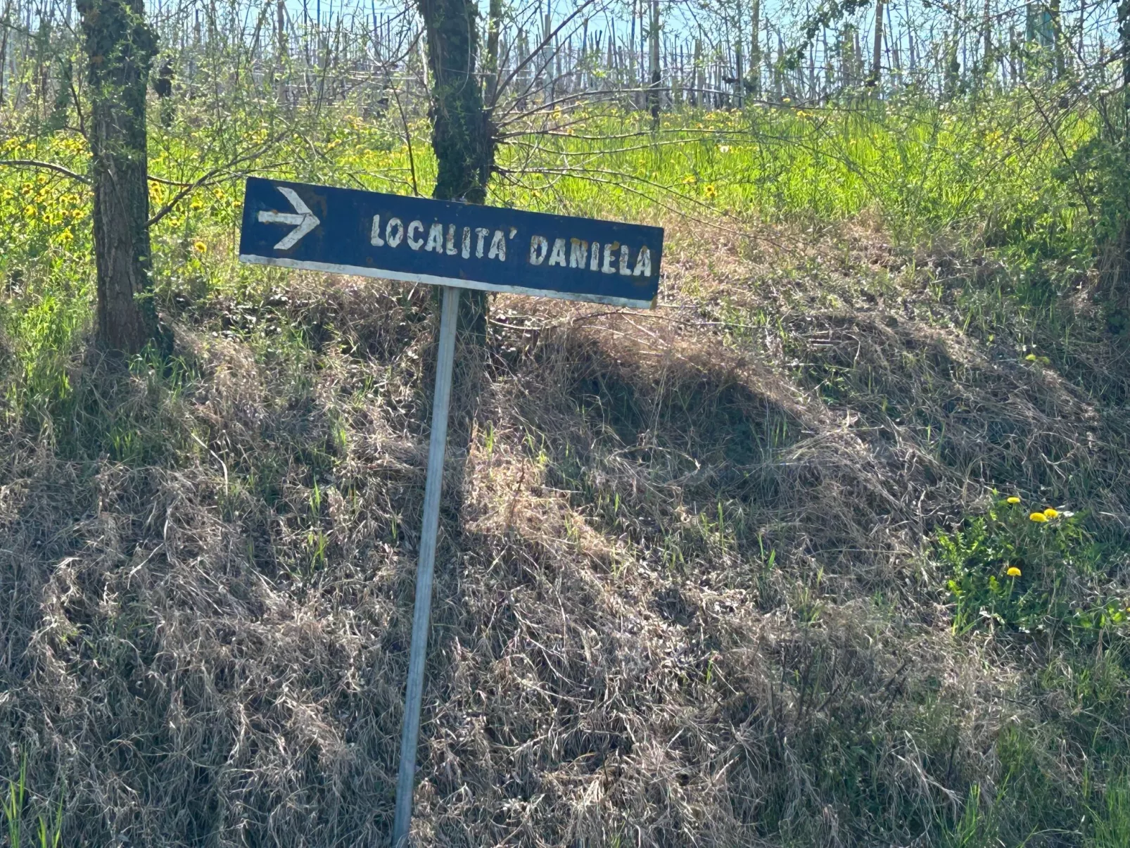 Casa il Cuore delle Langhe bei Holiday World-Draußen