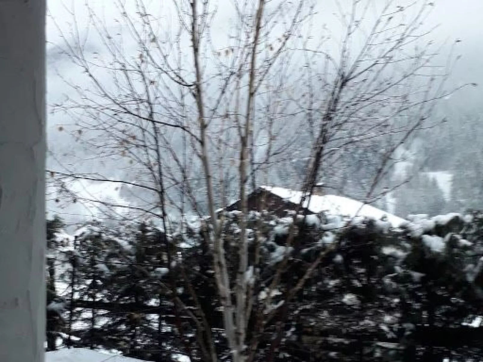 Mit Bergblick-Draußen