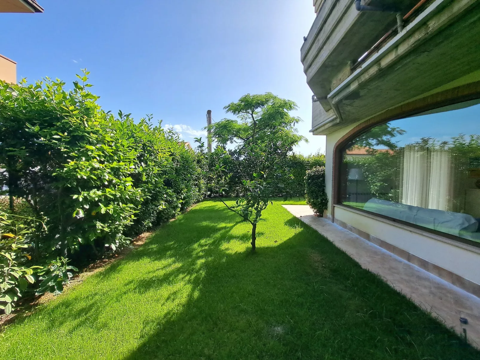 "Daphne Experience".-Outside