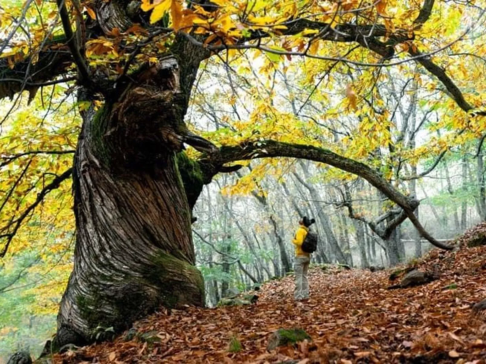 Ideales Refugium in Extremadura Komfort und Natur-Outside