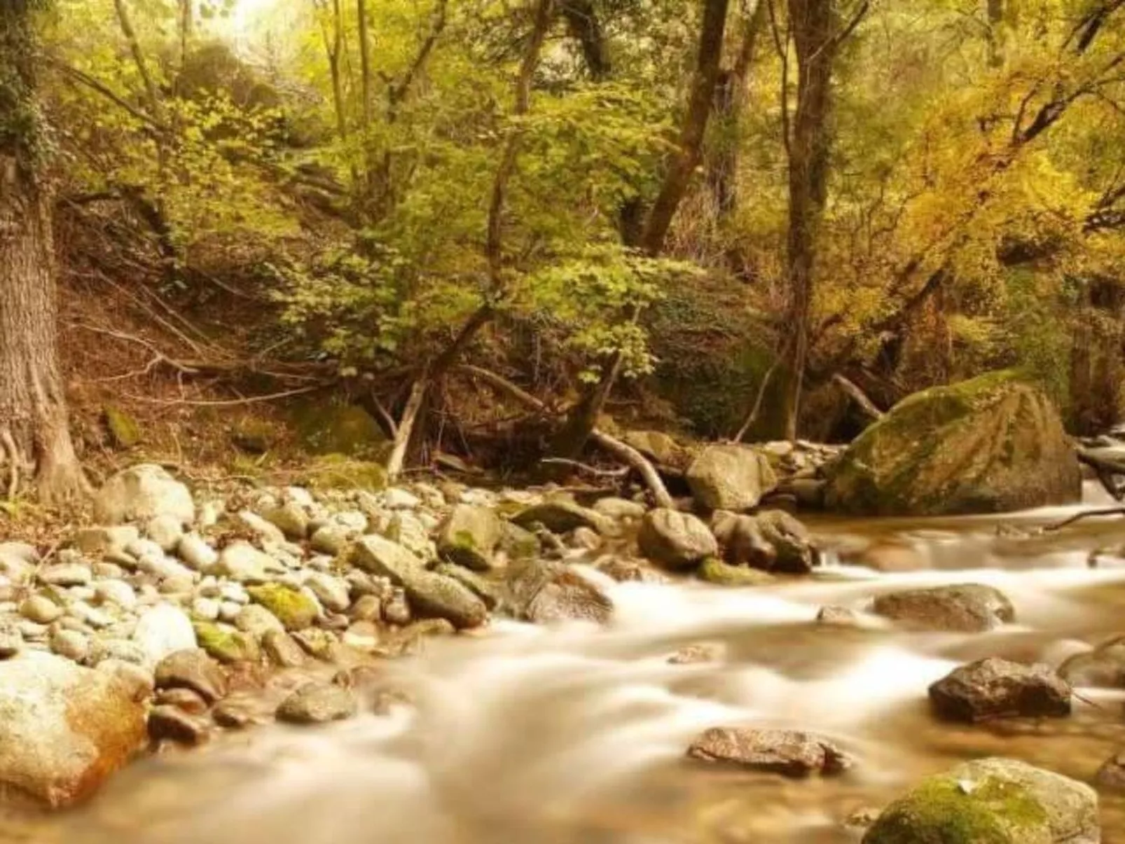 Fachwerkhaus "Casa Rural Picual"-Outside