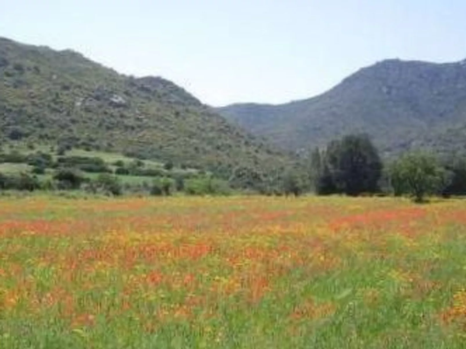 Natur, ökologische Nachhaltigkeit, nur für Erwachsene, Meer in der Nähe-Image-tags.info