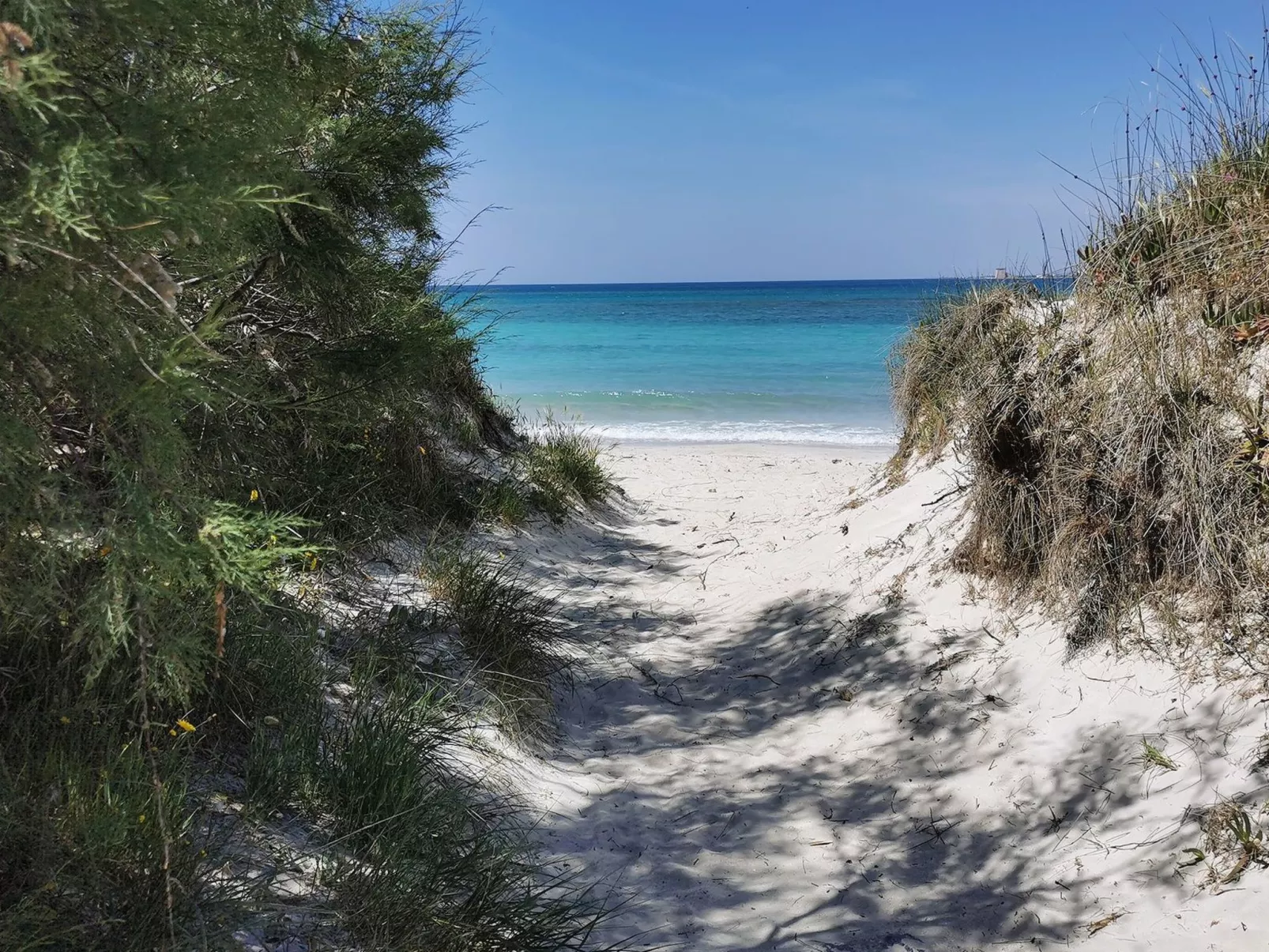 Suite Garden Plus-Draußen