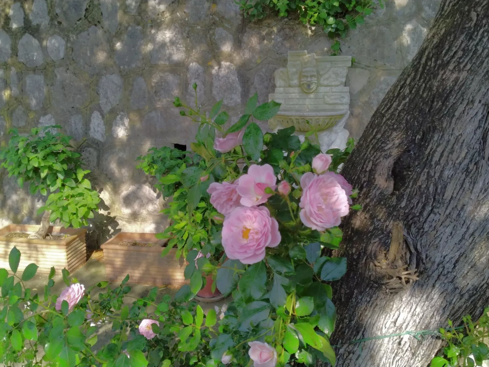 Villa l'Ulivina - Entspannung Garten Sonnenterrasse-Image-tags.info