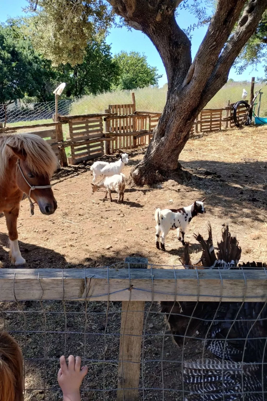 Wohnheim Heaven 53R-Image-tags.info