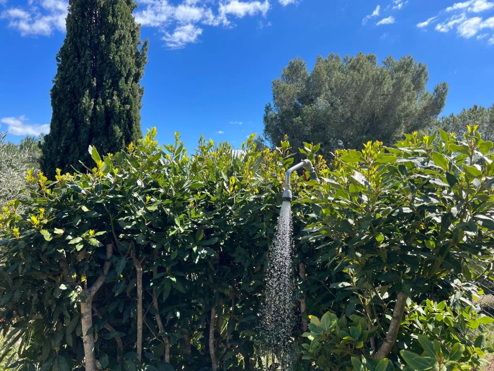 Exklusiv Ferienhaus Elba mit Panorama und Garten-Image-tags.info