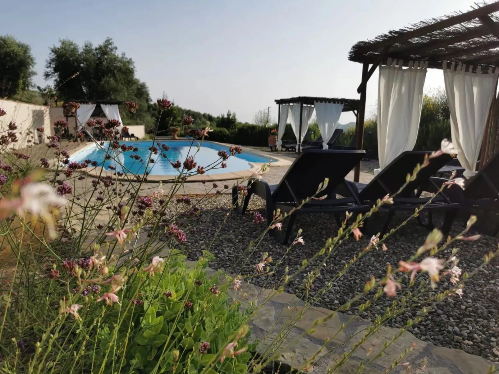 Vierblättriges Kleeblatt-Outside