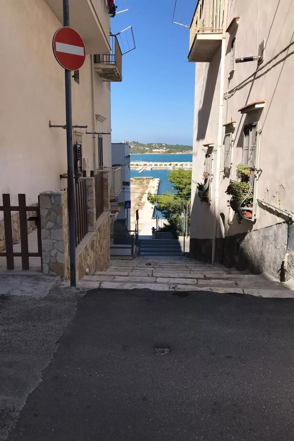 Wohnung in Vieste-Image-tags.info