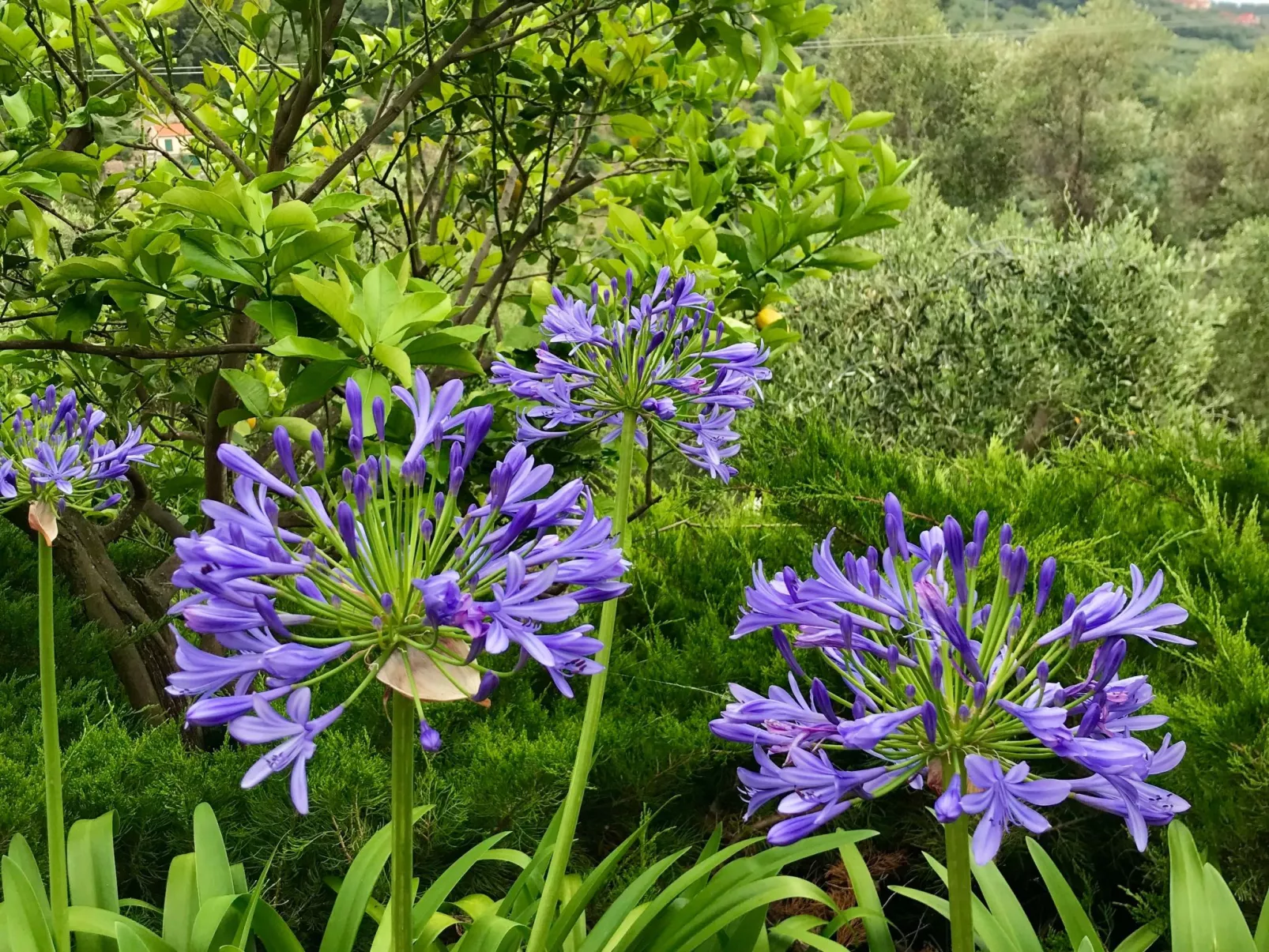 Casa Belvedere-Draußen