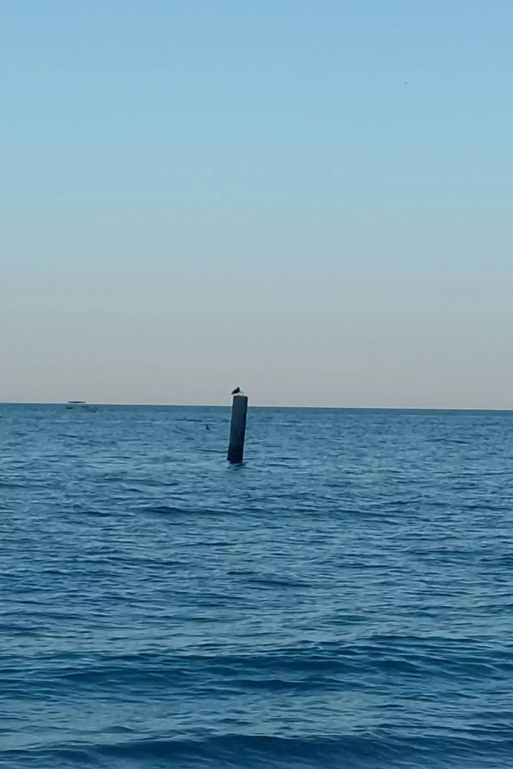 Wohnung "Riviera del Conero-Draußen