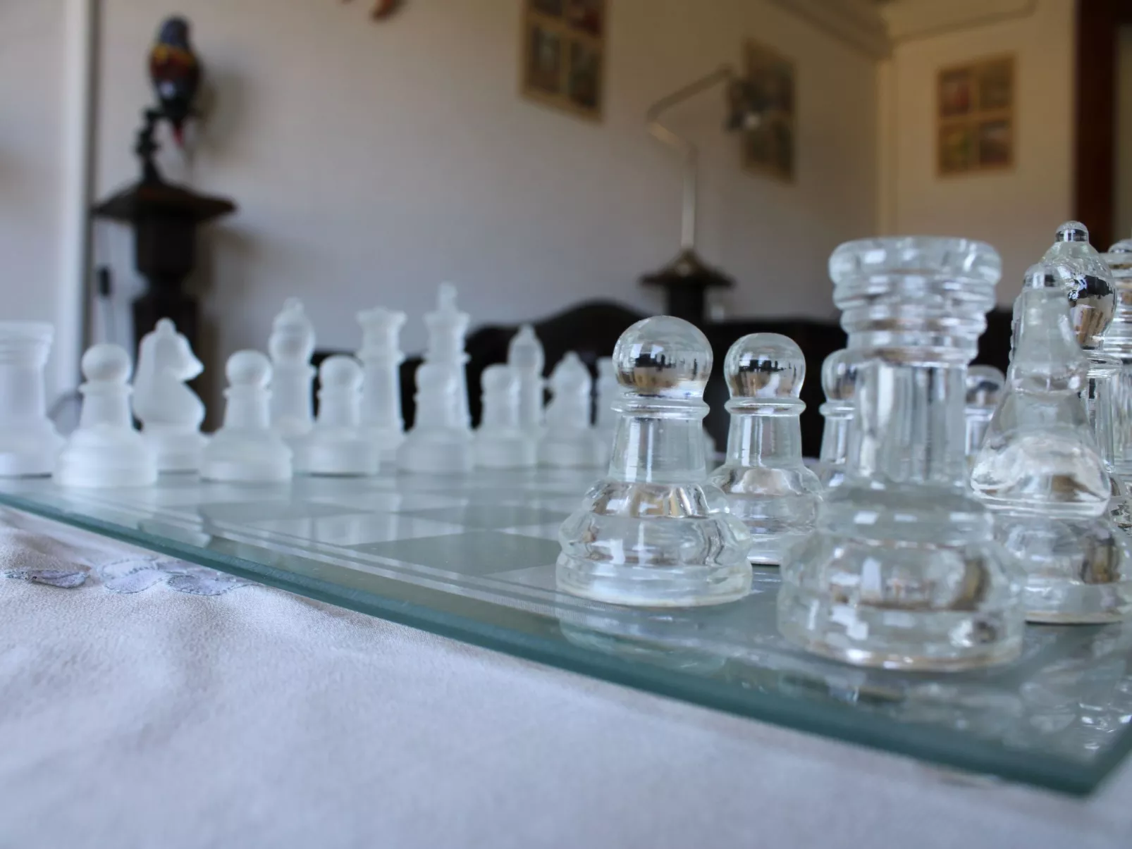 Flache Kornblume-Drinnen